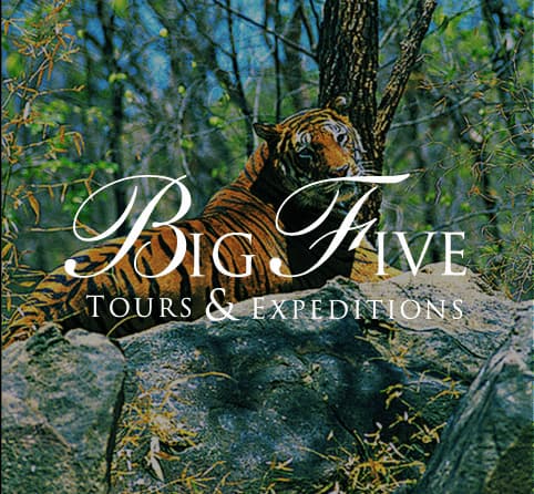 Big Five Tours & Expeditions
