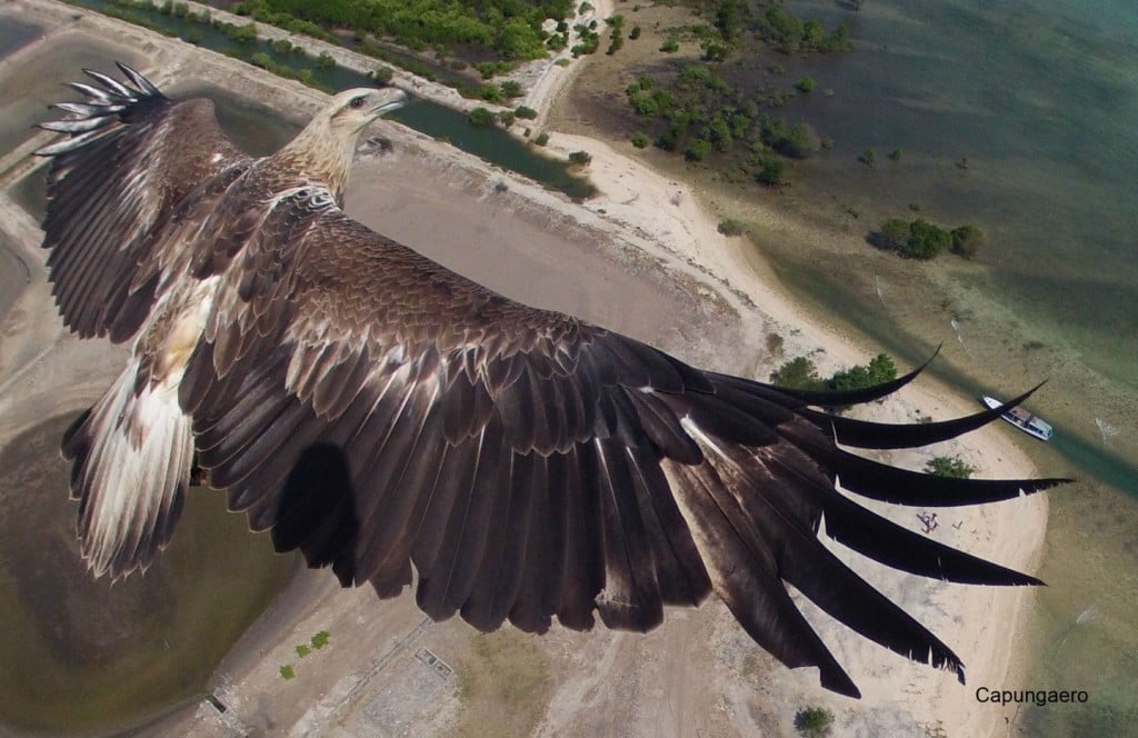 An aerial photo taken by a motorized drone photo taken from a drone