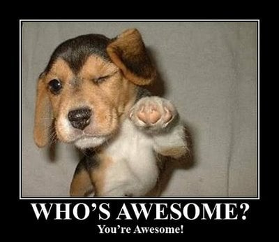 Make your Welcome Email something to Smile About | THAT Agency Make your Welcome Email something to Smile About | THAT Agency