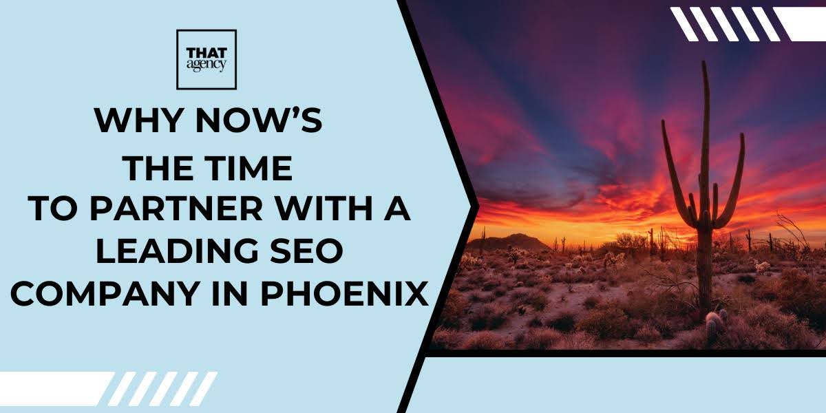 Sunset desert landscape in Phoenix with cactus, promoting benefits of working with a leading SEO company in Phoenix for business growth.